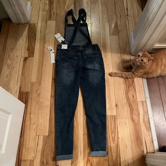 Blue jean overalls - Picture 7 of 7